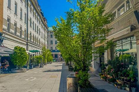 Квартира в центральном районе, предназначенная для коммерческого использования.: 1