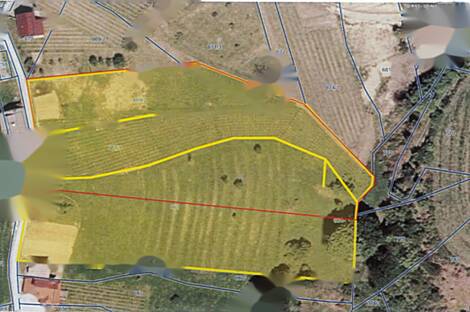 Жилище, Отавник: 11