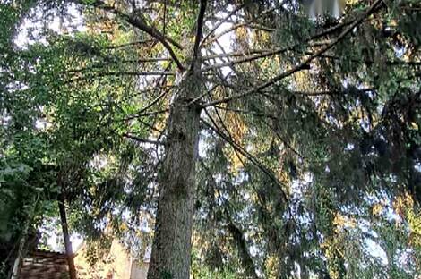 Жилище, Фрам: 16