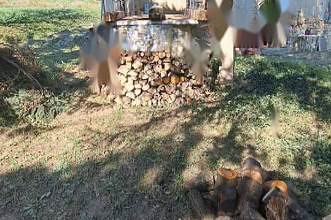 Жилище, Фрам: 17