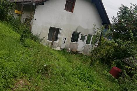 Усадьба, Квартира, Пустошь: 4