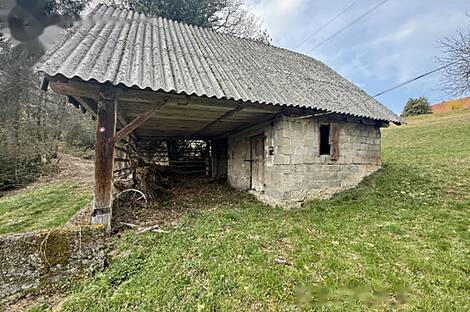 Жилище, Яворник: 9