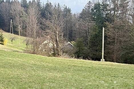 Жилище, Яворник: 10