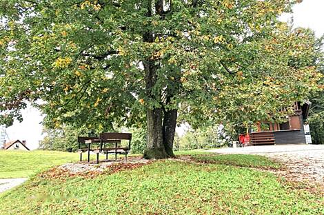 Жилище, Годович, разрешения на строительство: 22