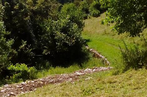 Локовец, дом.: 6