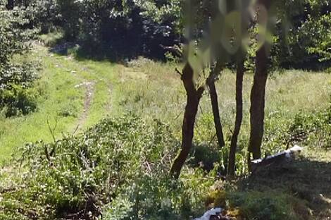 Локовец, дом.: 7