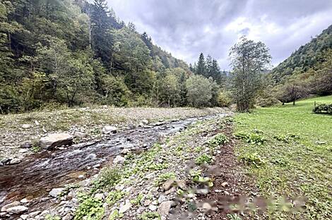 Жильё, расположенное в Любно-об-Савине: 9