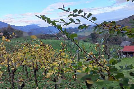 Дом в Бели-Поток-при-Лембергу: 2