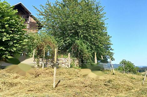 Дом в Бели-Поток-при-Лембергу: 3