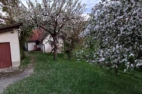 Дом в Бели-Поток-при-Лембергу: 8