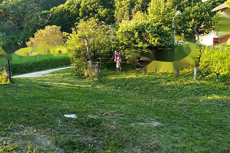 Дом в Бели-Поток-при-Лембергу: 10