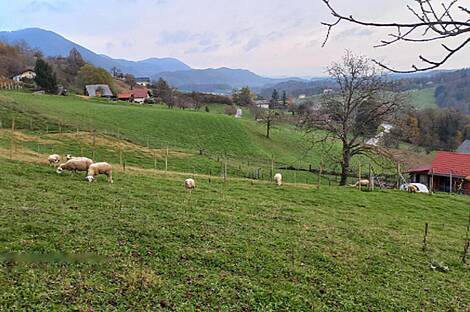 Дом в Бели-Поток-при-Лембергу: 14