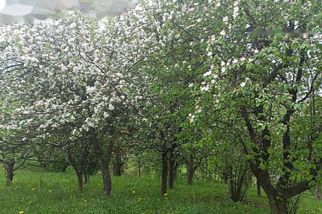 Дом в Бели-Поток-при-Лембергу: 16