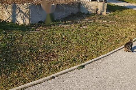 Жилище в районе Иловой Бистрицы: 5