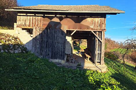 Жилище, Краина Брда: 4