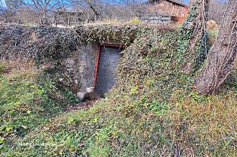 Жилище, Краина Брда: 6