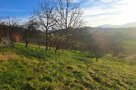 Жилище, Краина Брда: 8