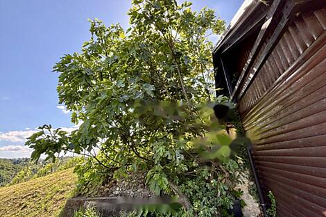 Жилище, Бельский Врх: 19