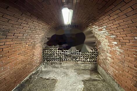 Жилище, Бельский Врх: 24