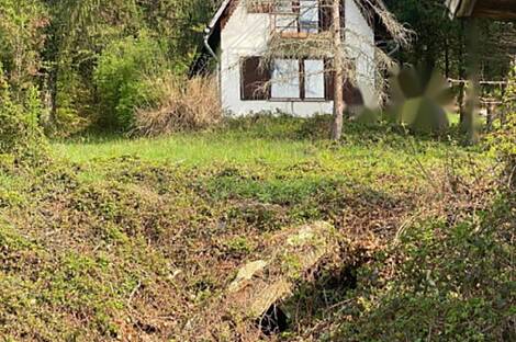 Жилище в Козминцах: 6