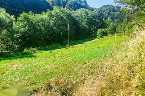 Жилье, Верхняя Кунгота: 5