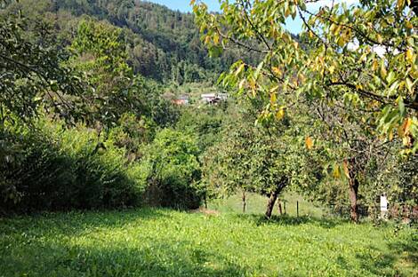 Помещение, Храстник: 16