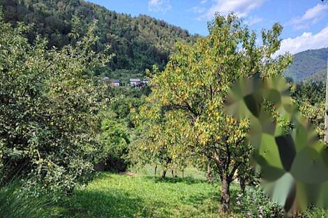 Помещение, Храстник: 18