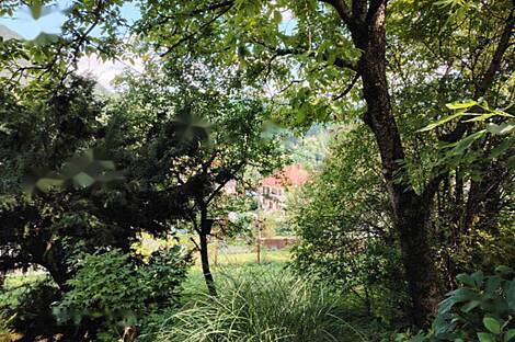 Помещение, Храстник: 21