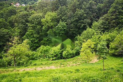 Квартира, Маколе, Старый Град: 6