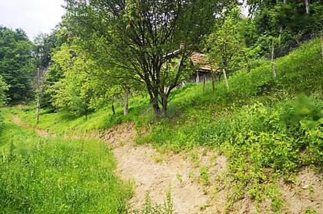 Квартира, Маколе, Старый Град: 7