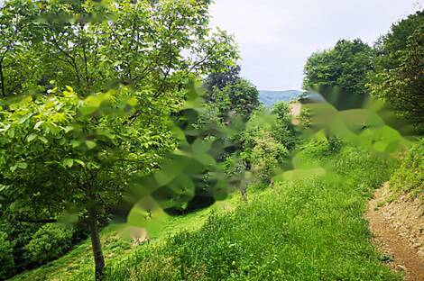 Квартира, Маколе, Старый Град: 8