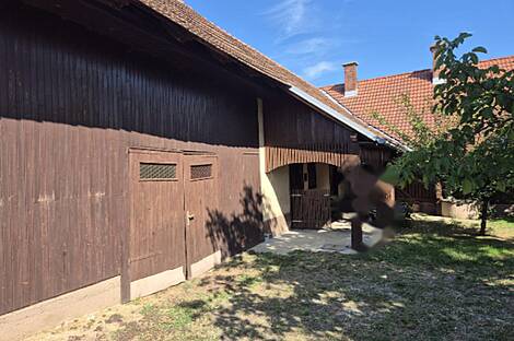 Жилище Зенковцы: 5