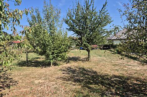 Жилище Зенковцы: 28