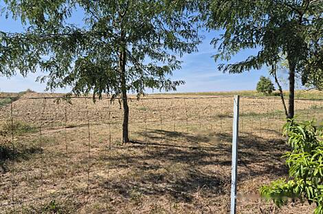 Жилище Зенковцы: 29