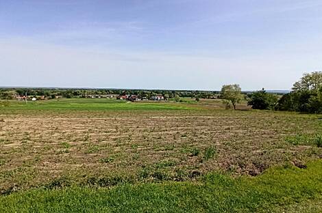 Квартира Гибина: 2