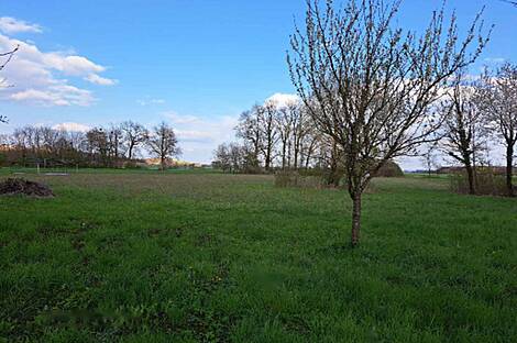 Стреховцы, дом: 2