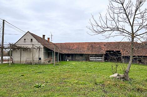 Петишовци, дом: 7