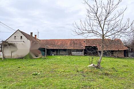 Петишовци, дом: 9