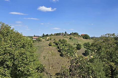 Циркулане, дом: 8