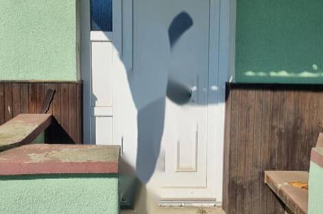 Резиденция Петишовци: 15