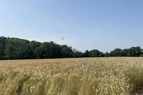 Здание, Лопершицы, окрестности Орможа: 16