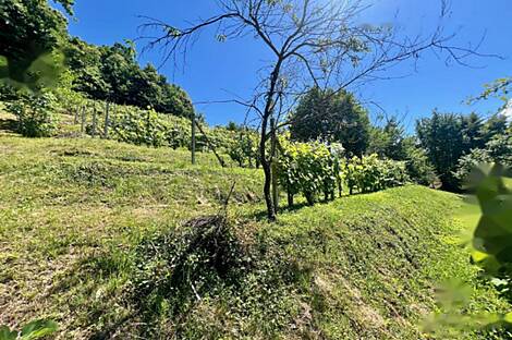 Жилище в Малом Чирнике возле Штейньяна: 2