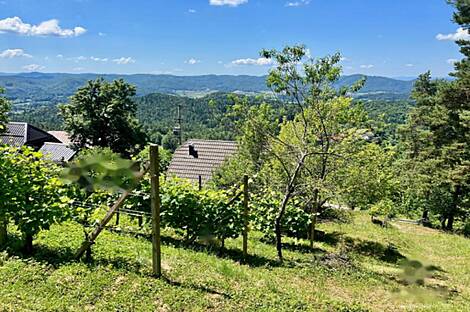 Жилище в Малом Чирнике возле Штейньяна: 8