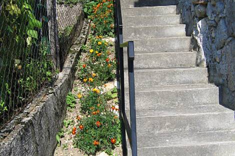 Дом в районе Завода, на улице Содражица: 4