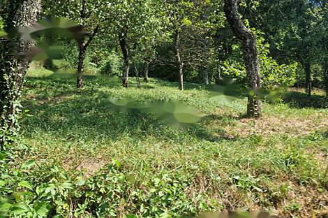 Дом в районе Завода, на улице Содражица: 18