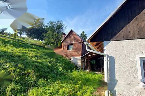 Жилище, Лушечка Вас: 4