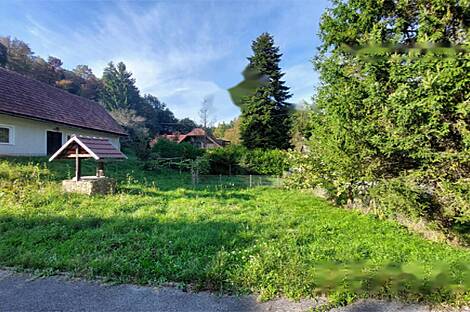 Жилище, Лушечка Вас: 5