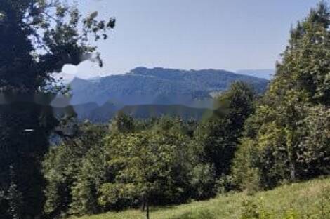 Жилище Тополшица Веленье: 4