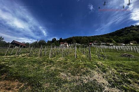 Сotеска, дом: 6