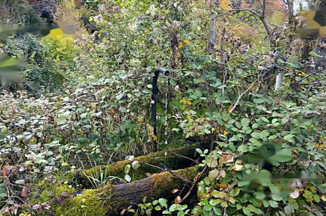 Жилище среди природы: 2